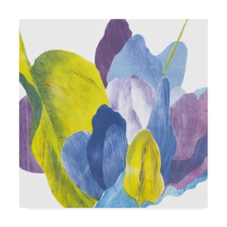 Carolyn Roth 'False Indigo Iii' Canvas Art,24x24